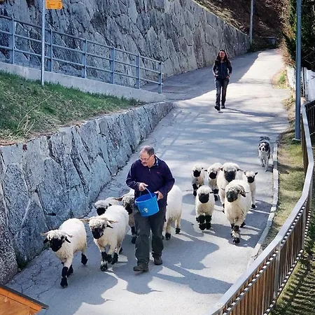 Apartament Panorama At Haus Waldheim! Nr 12 *