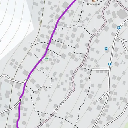 Panorama At Haus Waldheim! Nr 12 Apartament