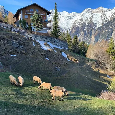 Panorama At Haus Waldheim! Nr 12 Grächen